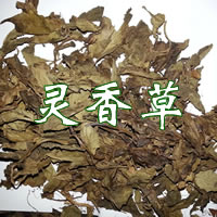 灵香草